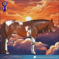 Horse Color:Chocolate Brown Tobiano 