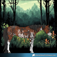 Horse Color:Bay Sabino Rabicano  and Bay Sabino Rabicano 