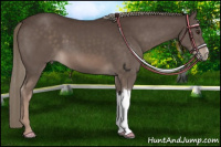 Horse Color:Liver Chestnut Mushroom 