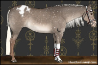 Horse Color:Liver Red Dun Mushroom Snowflake Varnish 