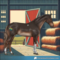Horse Color:Liver Chestnut Tobiano 
