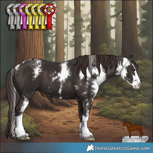 Horse Color:Liver Chestnut Sabino 