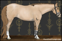 Horse Color:Blue Roan Pearl 