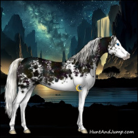 Horse Color:White Spotted Midnight Liver Chestnut Ice Mushroom Splash 