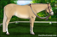 Horse Color:Palomino Mushroom Sabino