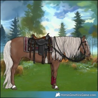 Horse Color:Silver Black 
