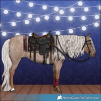 Horse Color:Silver Blue Roan 