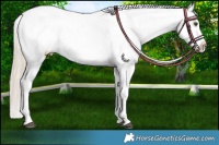 Horse Color:Chocolate Palomino Mushroom Appaloosa
