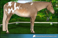 Horse Color:Chocolate Palomino Mushroom Blanket 