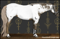 Horse Color:Chocolate Palomino Mushroom Near Fewspot 