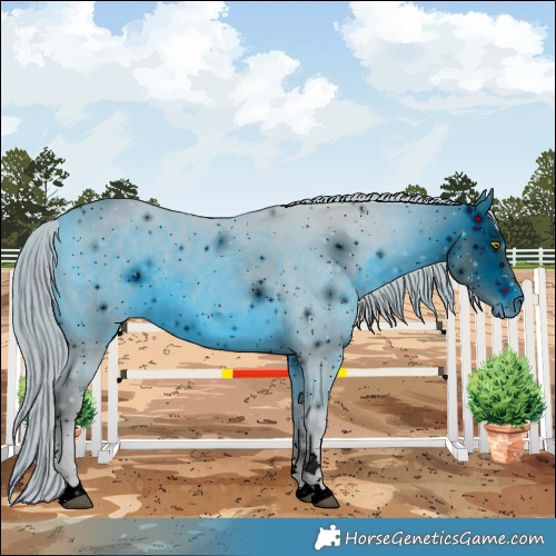 Horse Color:ERROR: UNKNOWN ANOMALY
