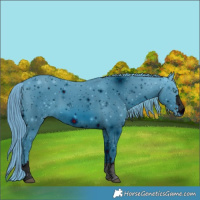 Horse Color:ERROR: UNKNOWN ANOMALY