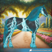 Horse Color:Thunderstruck Black 