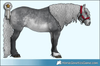 Horse Color:Silver Bay Chinchilla 