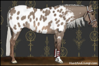 Horse Color:Liver Red Dun Mushroom Near Leopard 