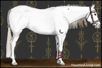 Horse Color:Liver Red Roan Mushroom Splash Appaloosa 