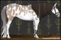 Horse Color:Brown Roan Dun Splash Blanket Brindle 