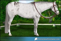 Horse Color:Platinum Liver Red Dun Varnish Brindle 