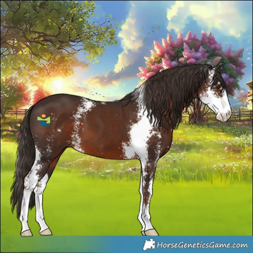 Horse Color:Liver Chestnut Sabino 