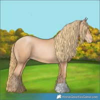 Horse Color:Chestnut Pearl