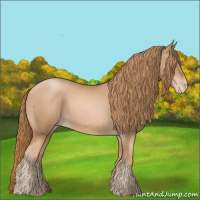 Horse Color:Chestnut Pearl