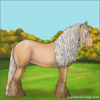 Horse Color:Silver Bay Pearl