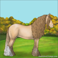 Horse Color:Bay Pearl