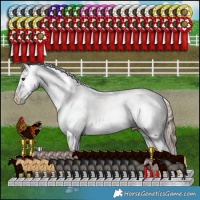 Horse Color:Liver Red Dun Appaloosa Brindle 