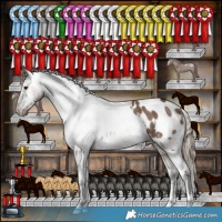 Horse Color:Liver Red Dun Appaloosa Brindle