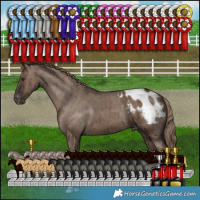 Horse Color:Liver Red Dun Varnish Brindle 
