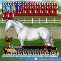 Horse Color:Liver Red Dun Appaloosa Brindle