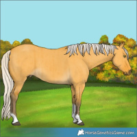 Horse Color:Silver Buckskin Dun Tobiano Brindle 
