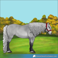 Horse Color:Silver Bay Chinchilla 