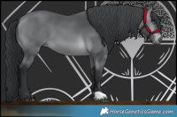 Horse Color:Brown Chinchilla