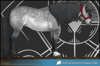 Horse Color:Brown Chinchilla