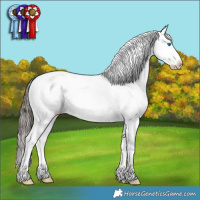 Horse Color:White Spotted Black Ice Sabino Splash Snowcap Rabicano 