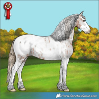 Horse Color:White Spotted Silver Bay Splash Tobiano Appaloosa  and White Spotted Smoky Grullo Splash Tobiano Appaloosa Rabicano 