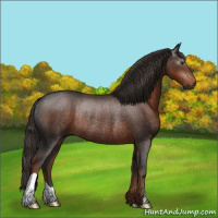 Horse Color:Gray Liver Chestnut Rabicano 