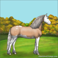 Horse Color:Silver Brown Dun Splash Appaloosa 