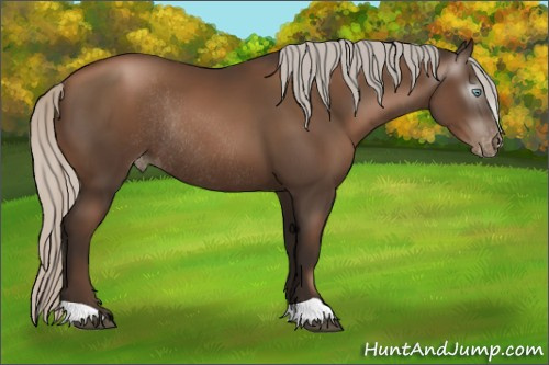 Horse Color:Gray Silver Black Pearl Appaloosa Rabicano 