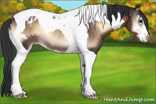 Horse Color:Brown Onyx Sabino Tobiano Appaloosa Rabicano 