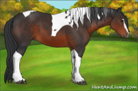 Horse Color:Brown Sabino Tobiano