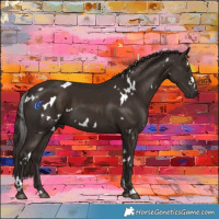 Horse Color:White Spotted Liver Chestnut Sabino 