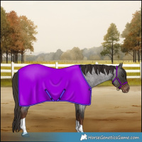 Horse Color:Liver Red Roan Tobiano Blanket Rabicano 