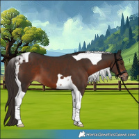Horse Color:Liver Chestnut Tobiano 