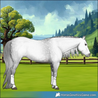 Horse Color:Gray White Spotted Brown Tobiano 