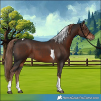 Horse Color:Liver Chestnut Tobiano 