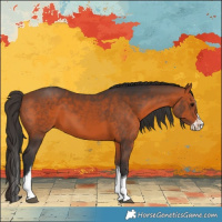 Horse Color:Bay Splash Tobiano 