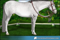 Horse Color:Platinum Buckskin Pearl 