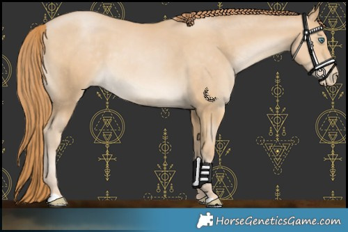 Horse Color:Smoky Black Pearl Mushroom